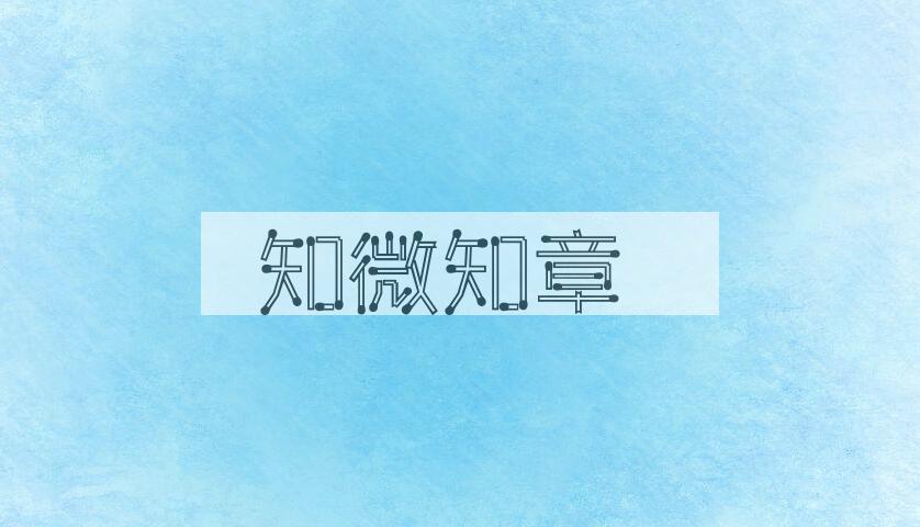 成语知微知章是什么意思？