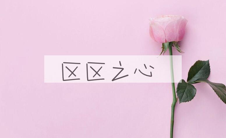 成语区区之心是什么意思？