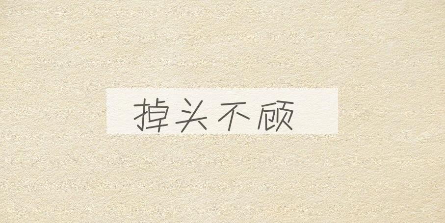 成语掉头不顾是什么意思？