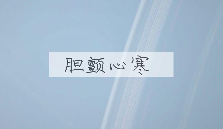 成语胆颤心寒是什么意思？