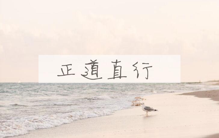 成语正道直行是什么意思？