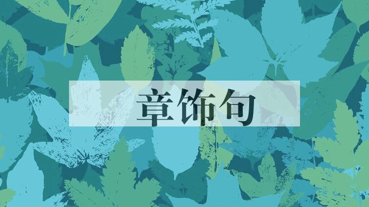 成语絺章饰句是什么意思？