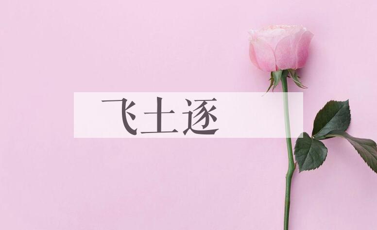 成语飞土逐宍是什么意思？