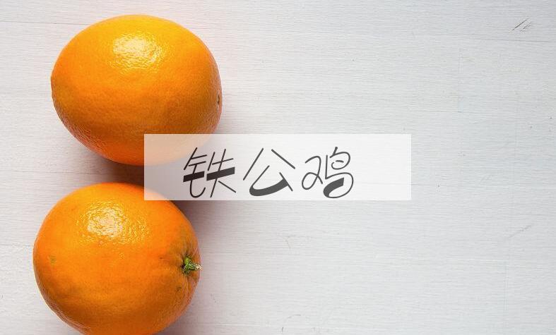 成语铁公鸡是什么意思？