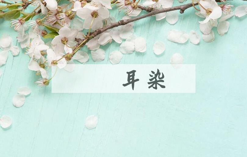 成语目擩耳染是什么意思？