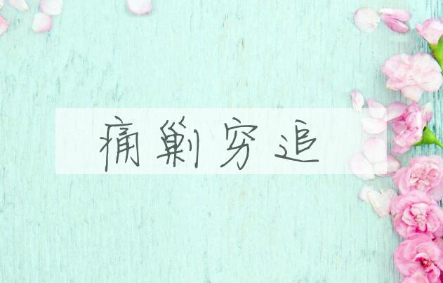 成语痛剿穷追是什么意思？