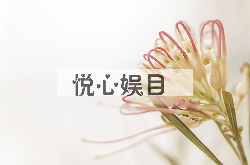 成语悦心娱目是什么意思？