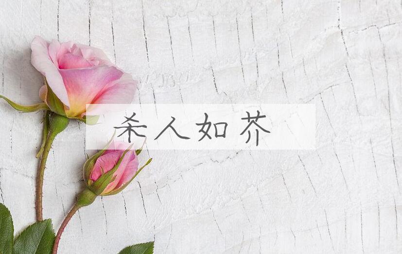 成语杀人如芥是什么意思？