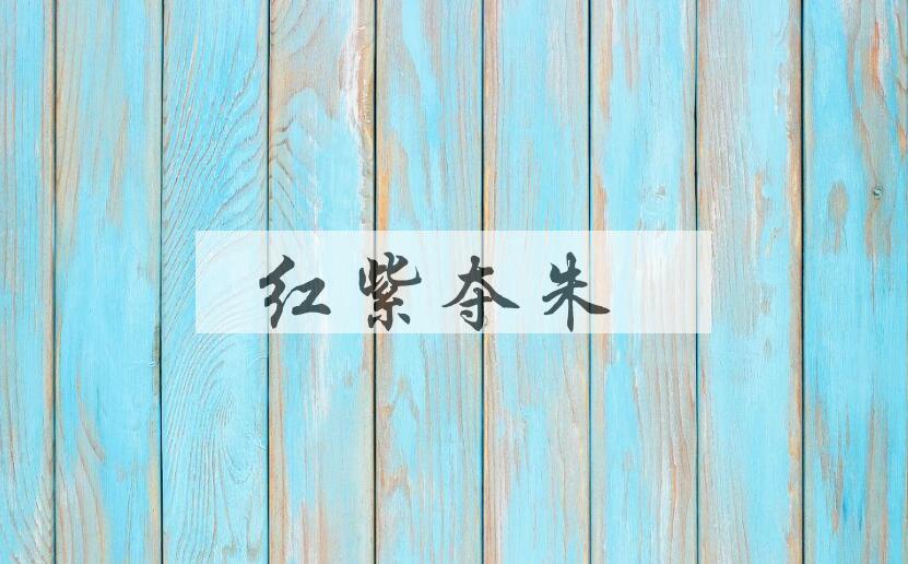 成语红紫夺朱是什么意思？