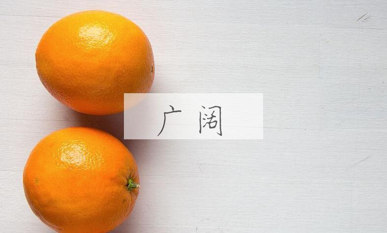 成语广阔是什么意思？