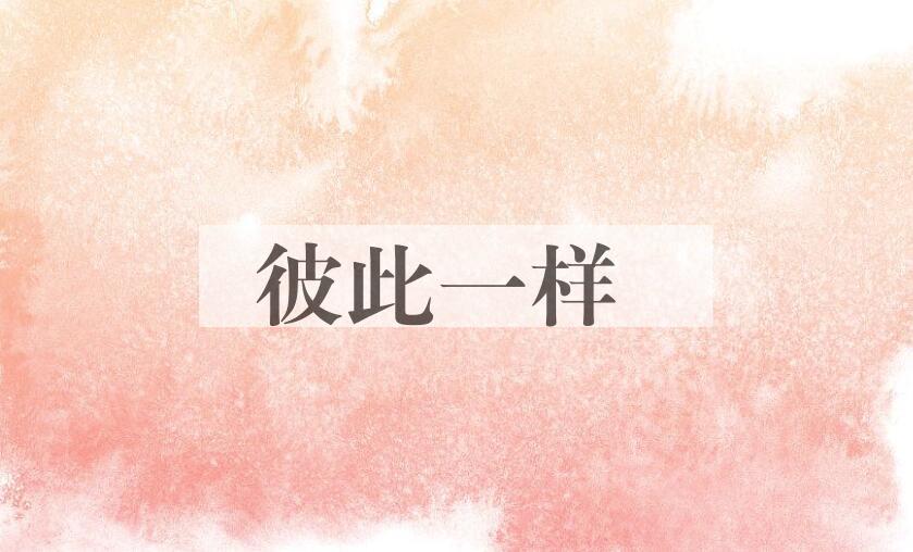 成语彼此一样是什么意思？