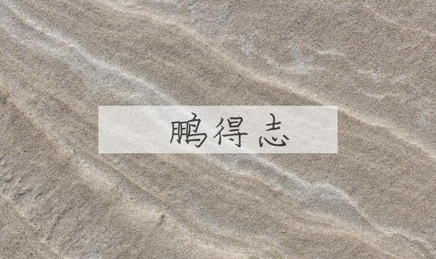成语鹍鹏得志是什么意思？