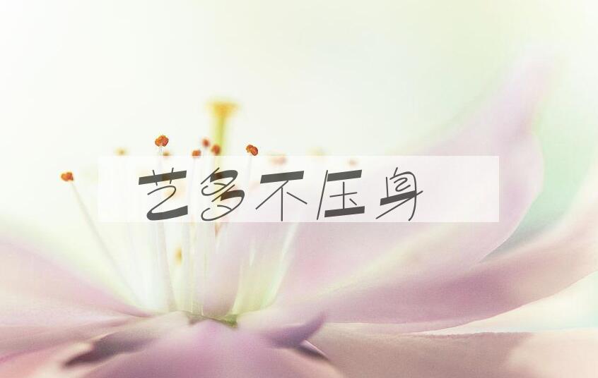成语艺多不压身是什么意思？