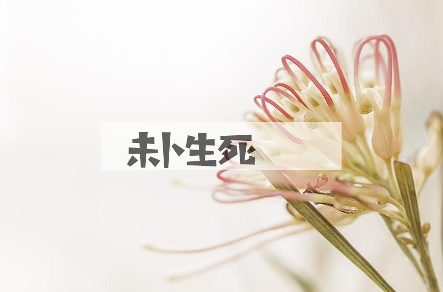 成语未卜生死是什么意思？