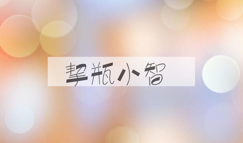 成语挈瓶小智是什么意思？