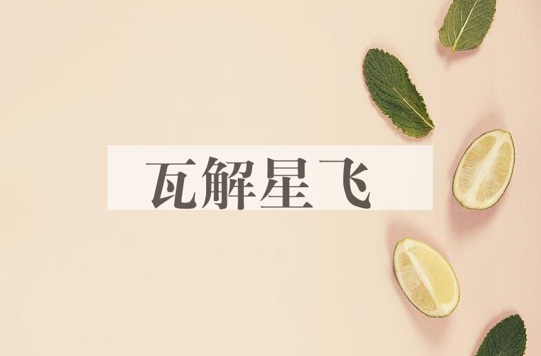 成语瓦解星飞是什么意思？