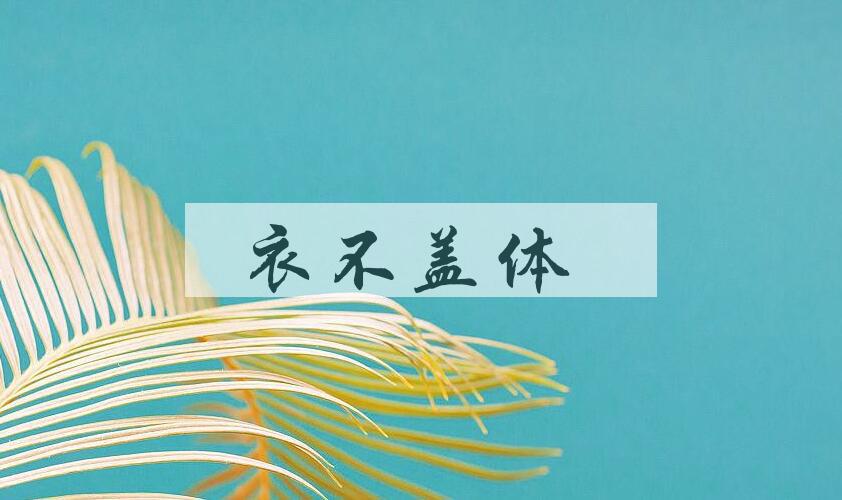 成语衣不盖体是什么意思？