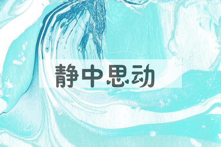 成语静中思动是什么意思？