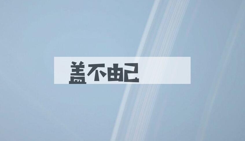 成语盖不由己是什么意思？