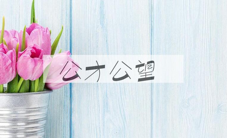 成语公才公望是什么意思？