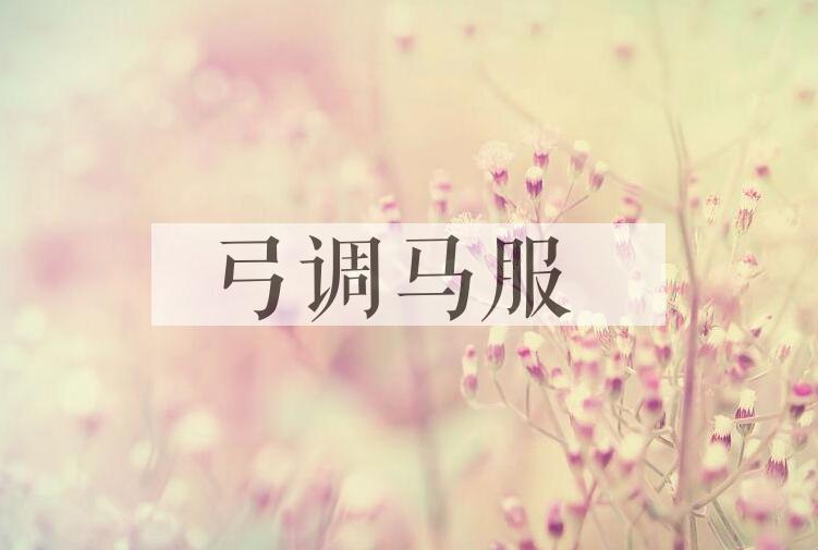 成语弓调马服是什么意思？