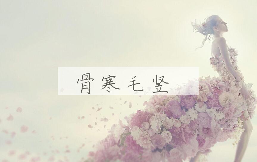 成语骨寒毛竖是什么意思？