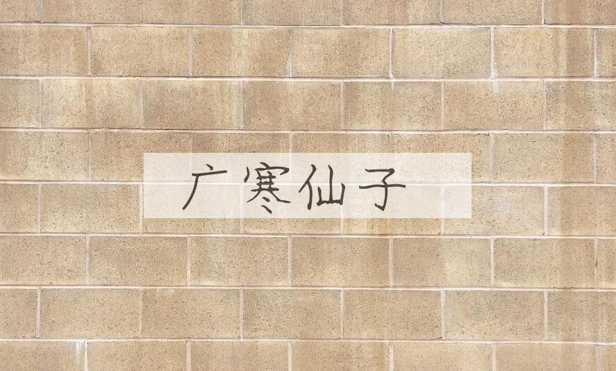 成语广寒仙子是什么意思？