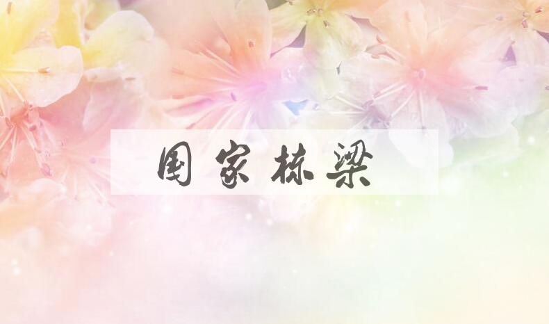 成语国家栋梁是什么意思？