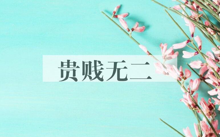 成语贵贱无二是什么意思？