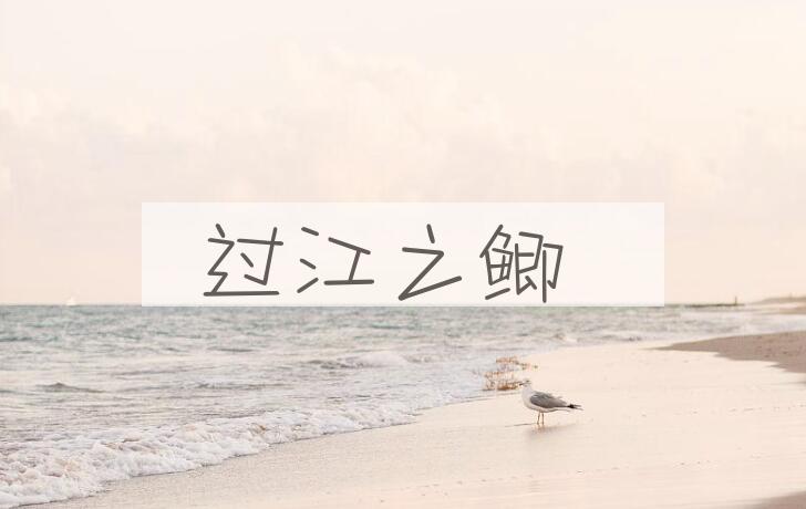 成语过江之鲫是什么意思？