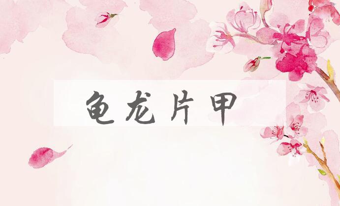 成语龟龙片甲是什么意思？