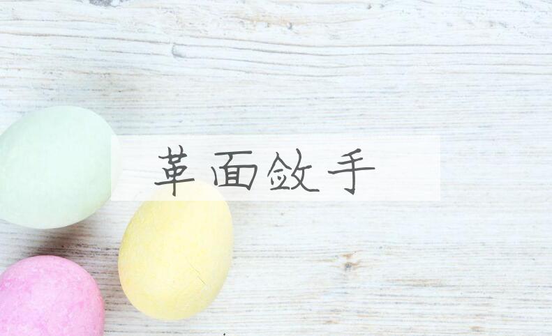 成语革面敛手是什么意思？