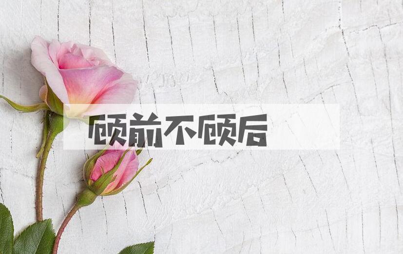 成语顾前不顾后是什么意思？