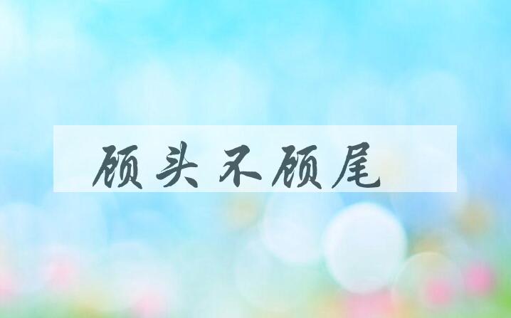 成语顾头不顾尾是什么意思？