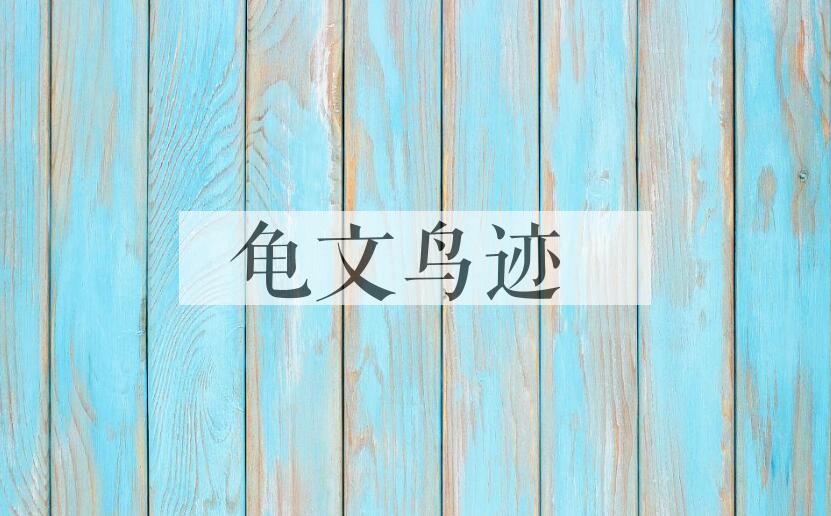 成语龟文鸟迹是什么意思？