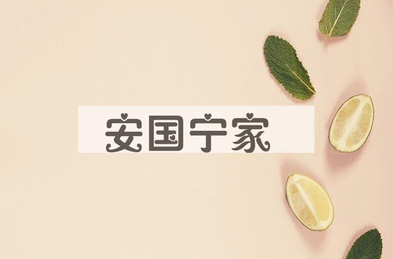 成语安国宁家是什么意思？