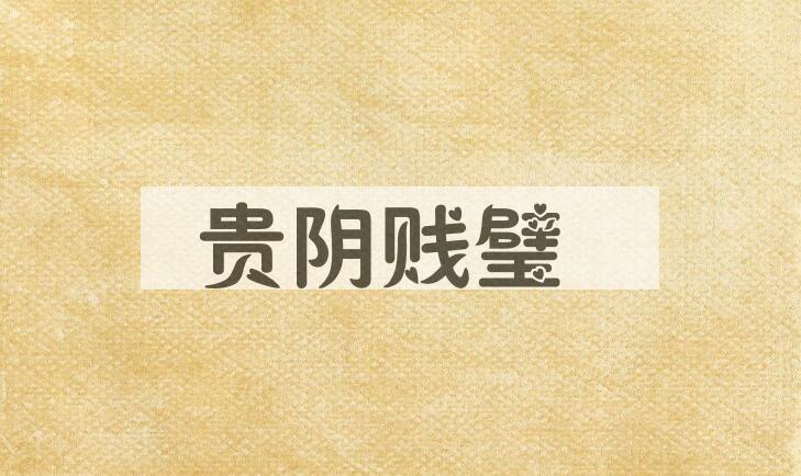 成语贵阴贱璧是什么意思？