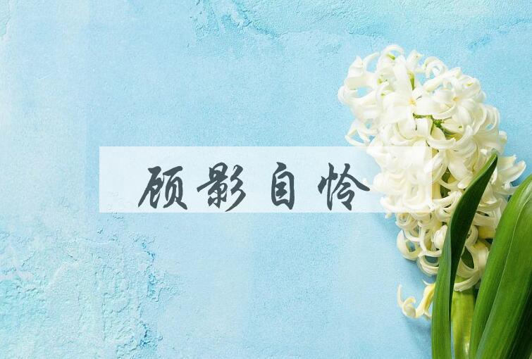 成语顾影自怜是什么意思？