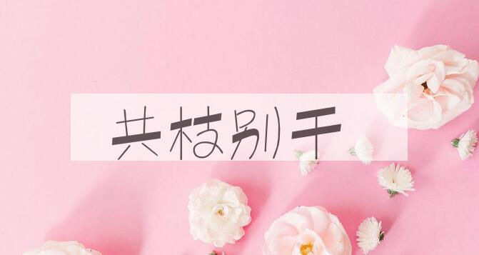 成语共枝别干是什么意思？