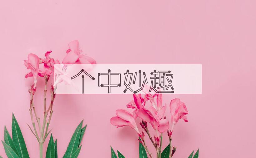 成语个中妙趣是什么意思？