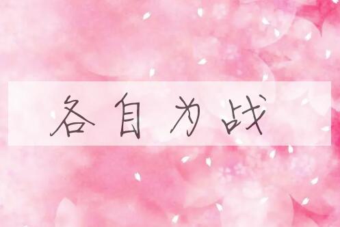 成语各自为战是什么意思？