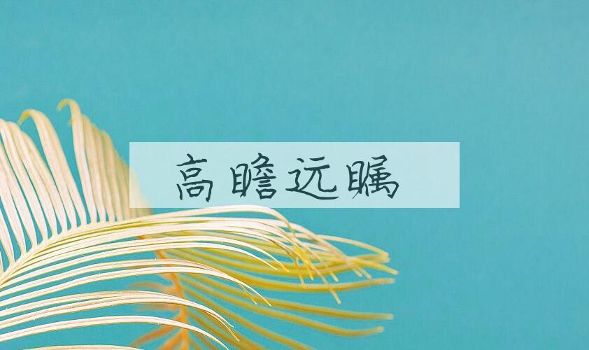 成语高瞻远瞩是什么意思？