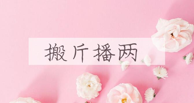 成语搬斤播两是什么意思？