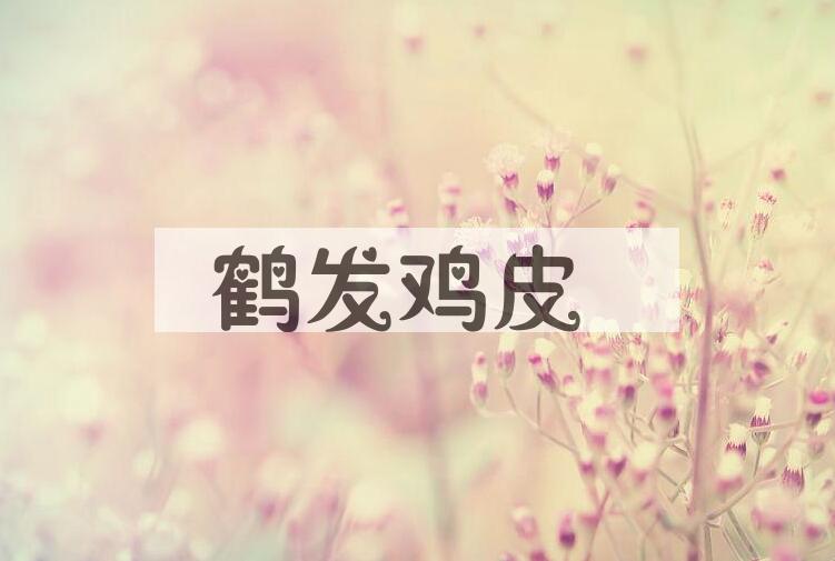 成语鹤发鸡皮是什么意思？