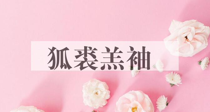 成语狐裘羔袖是什么意思？