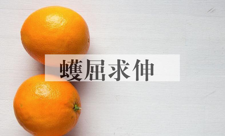 成语蠖屈求伸是什么意思？