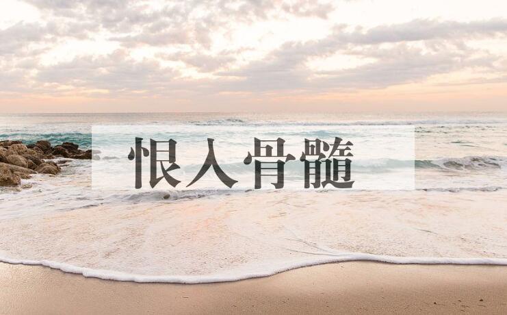 成语恨入骨髓是什么意思？