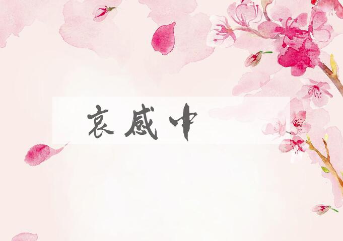 成语哀感中年是什么意思？
