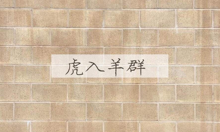 成语虎入羊群是什么意思？