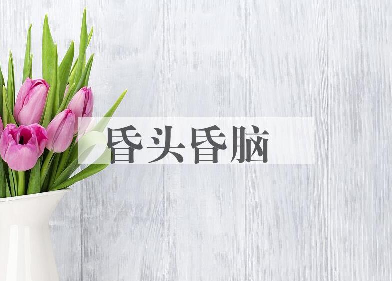 成语昏头昏脑是什么意思？